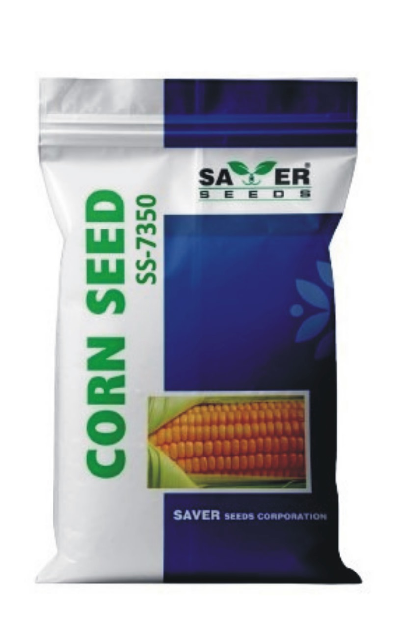 18617corn-seed-ss-7350.jpeg