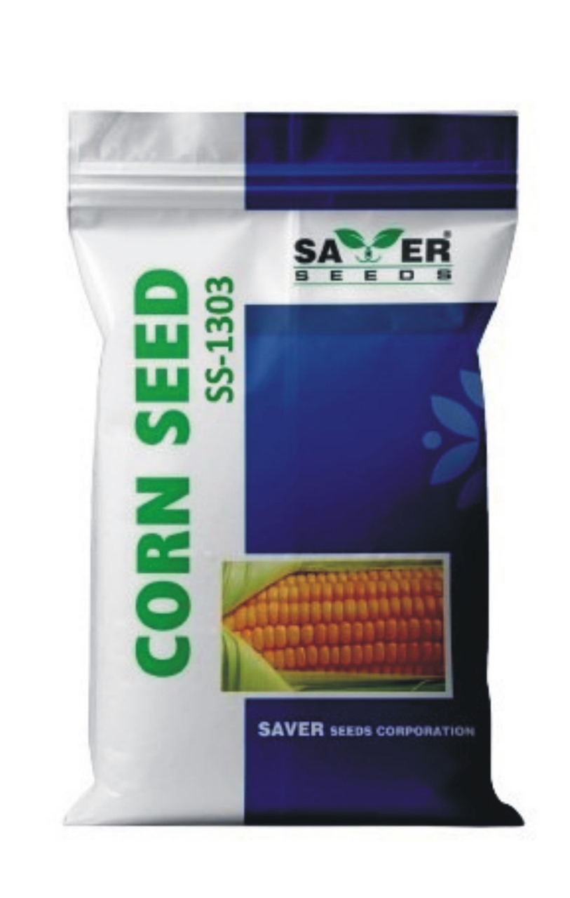 32351corn-seed-ss1303.jpg