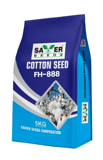 5661904301849333547Cotton_Seed-FH888.jpg